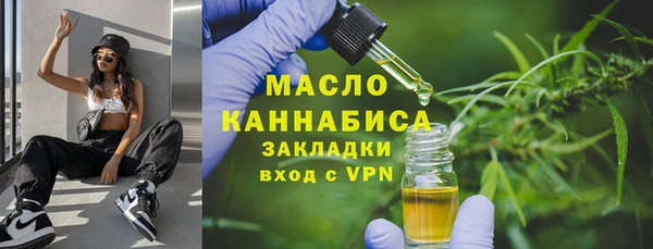 хмурый Каменногорск
