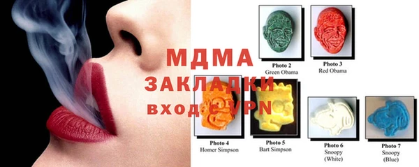 ГАЛЛЮЦИНОГЕННЫЕ ГРИБЫ Каменка