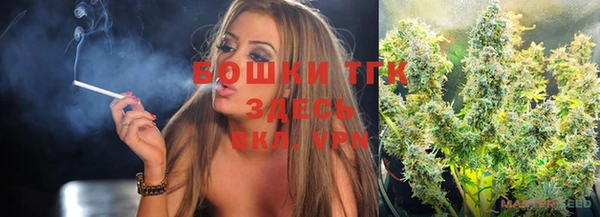хмурый Каменногорск