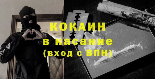 ГАЛЛЮЦИНОГЕННЫЕ ГРИБЫ Каменка