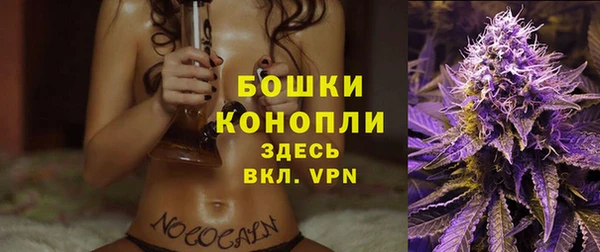 ГАЛЛЮЦИНОГЕННЫЕ ГРИБЫ Каменка